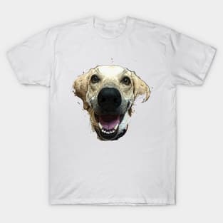 Smiler! T-Shirt